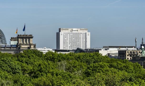 Panorama Berlin with Reichstag and Charite